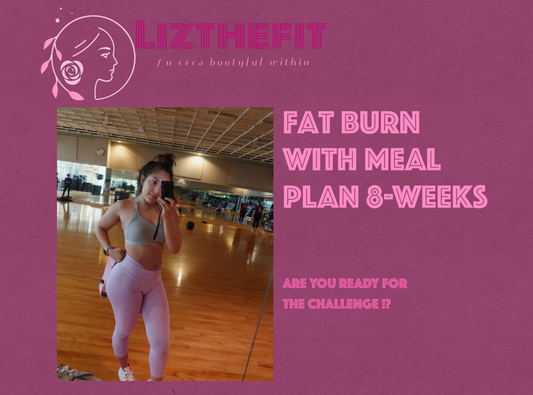 HOME FAT BURN GUIDE WITH MEAL PLAN - LIZTHEFIT