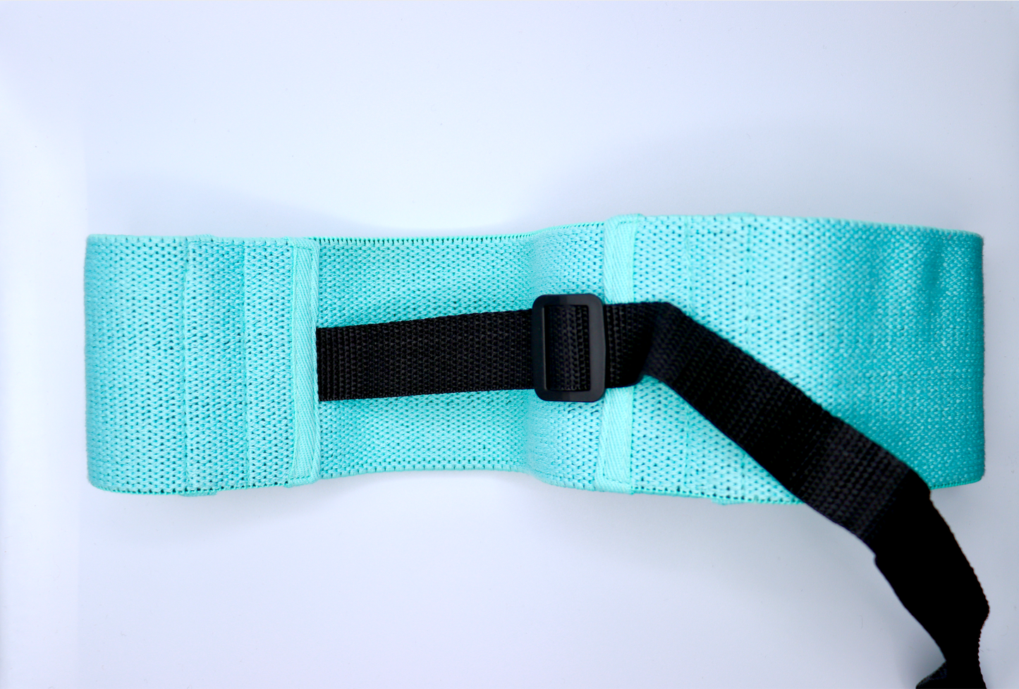 Mint Adjustable Band - LIZTHEFIT